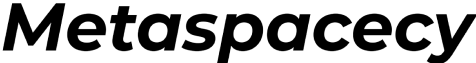 Metaspacecy